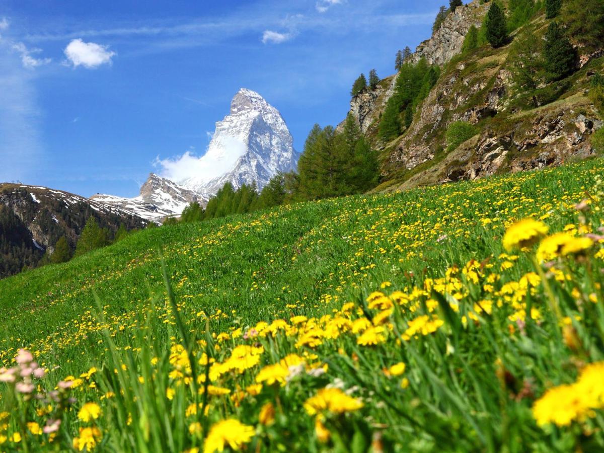 A-3 By Interhome Apartamento Zermatt